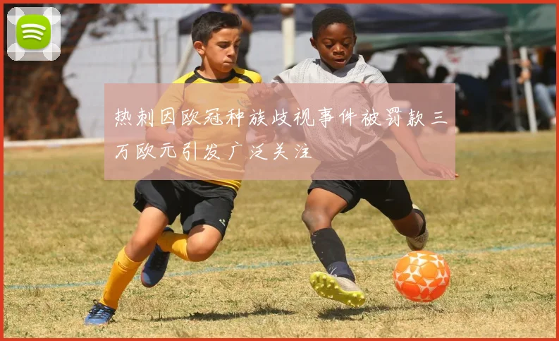 热刺因欧冠种族歧视事件被罚款三万欧元引发广泛关注