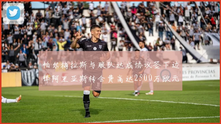 帕尔梅拉斯与狼队达成协议签下边锋阿里亚斯转会费高达2500万欧元