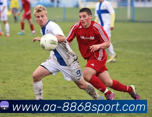 8868体育APP 高清赛事图